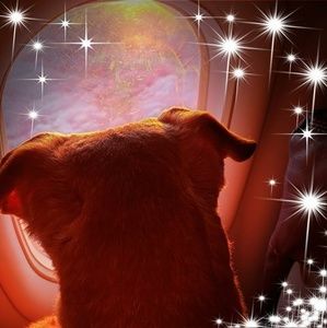 Meet your Posher, Cami